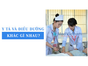 Y tá và điều dưỡng khác nhau như thế nào? Phân biệt rõ ràng