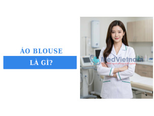 Áo blouse là gì? Đặc điểm đặc trưng và ứng dụng thực tế hiện nay