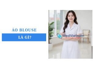 Áo blouse là gì? Đặc điểm và ứng dụng trong thực tế